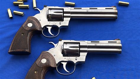 Image result for 2020 Python Revolver