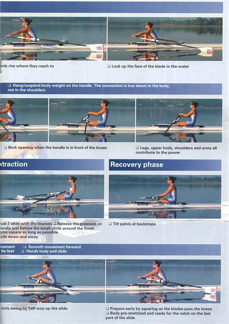 What Is The Difference Between Rowing And Crew at Danielle Haynes blog