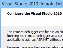 Visual Studio Debugger 的图像结果