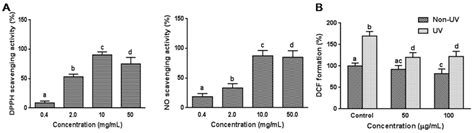 Protective Effect of Garlic on Cellular Senescence in UVB-Exposed HaCaT ...