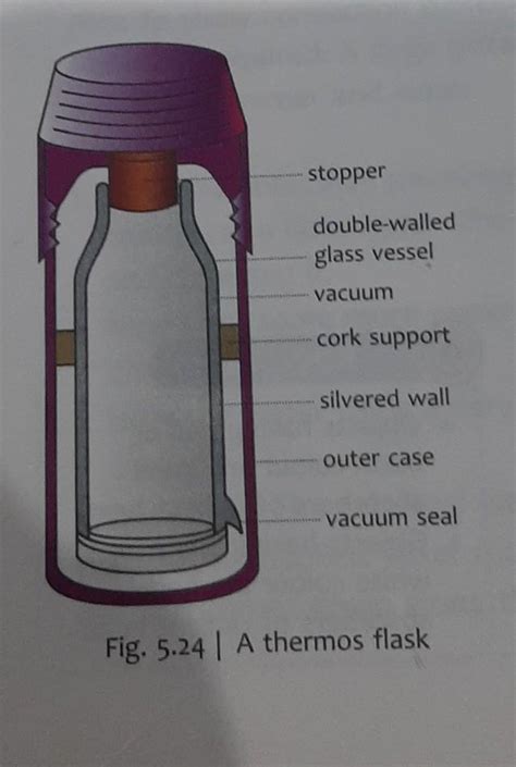 i will mark the brainlist for the first answer.Draw a neat labelled ...