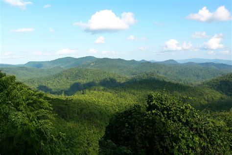 Manipur Bans Unauthorised Entry Into Reserved Forests to Protect ...