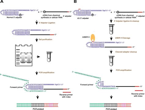 qPCR 的图像结果