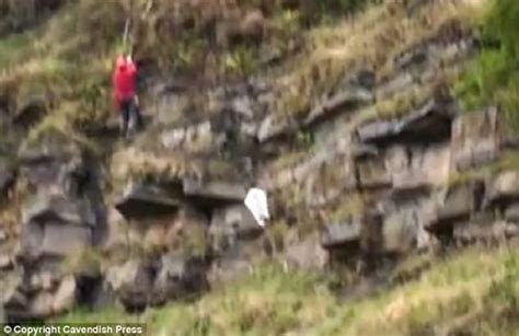 英国一只被困山羊跳崖脱险 救援队白忙一场 - 神秘的地球 科学|自然|地理|探索