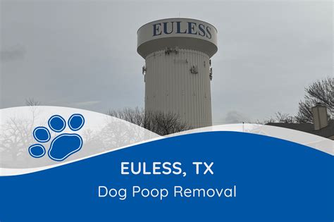 Euless, TX Poop Scooping Service | Pet Waste Inc