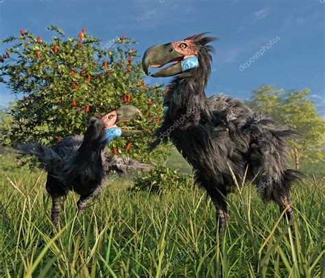 消逝新西兰巨鸟，恐鸟对新西兰究竟有多重要？_百科TA说