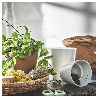 SOJABÖNA plant pot, white, 12 cm (4 ¾") - IKEA