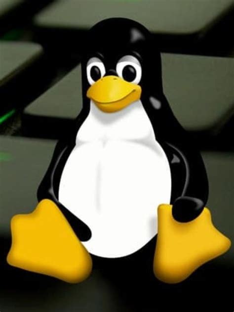 Image result for Linux Shell