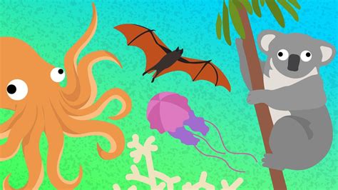 Colossal Questions Animals 的图像结果