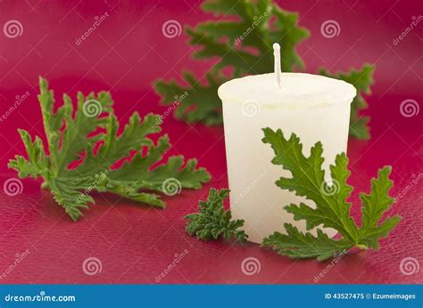 Citronella Candle stock image. Image of candle, healing - 43527475