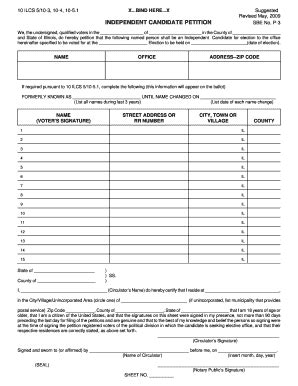 P-3 - Fill and Sign Printable Template Online