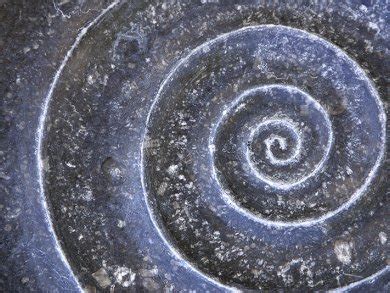 Image result for Vortex Data