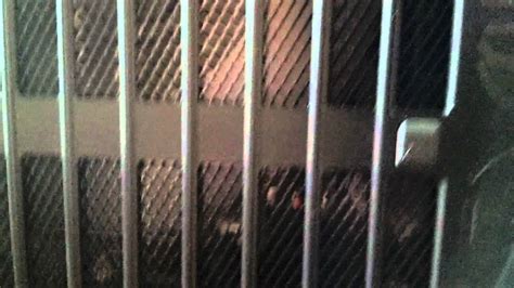 Alienware Bad Computer 的图像结果