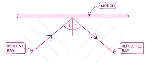Ripple Tank - Physics for GCSE/IGCSE - Year 11 PDF Download