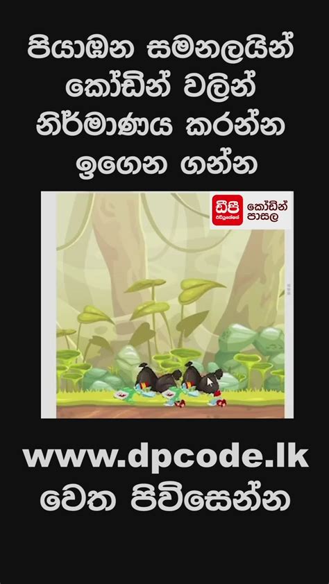 Image result for DP Coding