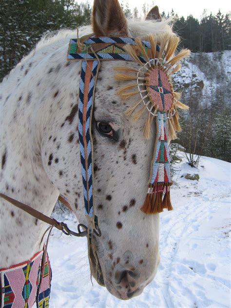 Pinterest | Indian horses, Native american horses, Art inspiration