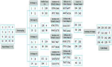 Example of a Mathematics Algorithm 的图像结果