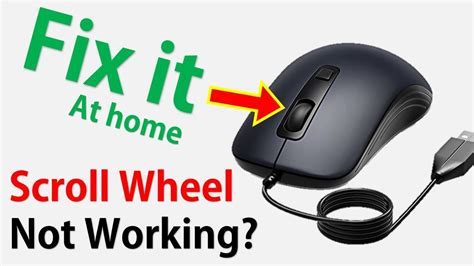Fix Roller Mouse Problem 的图像结果