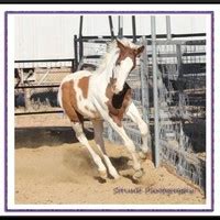 Image result for Kelly Strunk