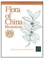 Type Specimens in China National Herbarium (PE), Volume 2: Pteridophyta ...
