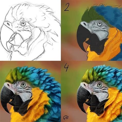 Image result for How Draw On Procreate Flo