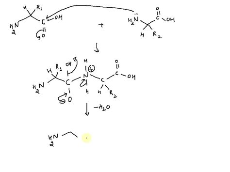 Image result for What Is the Structural Formula for O2