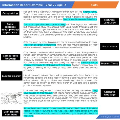 Image result for Information Report Structure