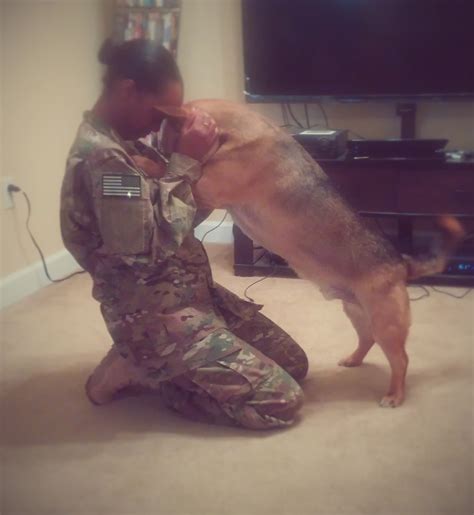 Nonprofit helps deploying servicemembers with dogs u003e Scott Air Force ...