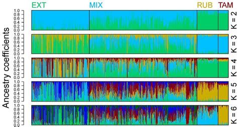 Genomic Diversity of the Retinta Breed Derived from Two Ancestral ...