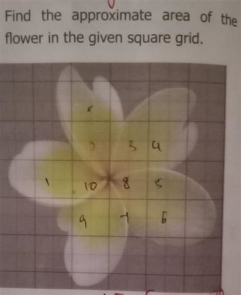 find the approximate area of the flower in the given square grid ...