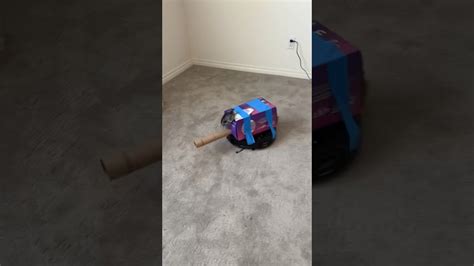 Hilarious secret revealed for a powerful battle chinchilla video