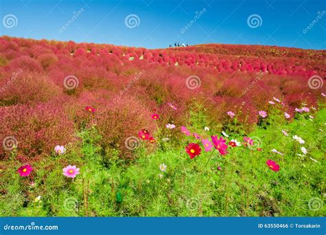 Image result for Pattern Finding with Unsupervised Learning Telecom