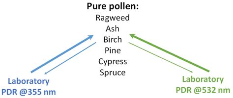 Laboratory Evaluation of the (355, 532) nm Particle Depolarization ...