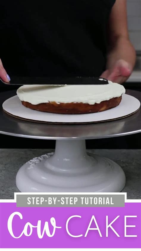 Image result for Cow Cake Tutorial