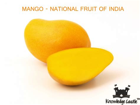 History Of Mango In India at Beulah Insley blog
