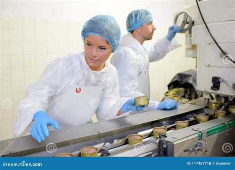 Workers on Food Production Line Stock Photo - Image of control, power ...