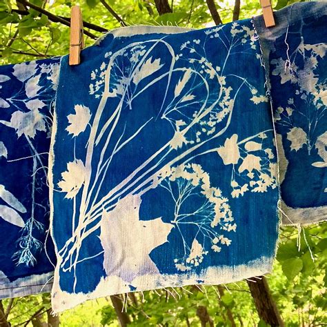 How to Make Cyanotype Prints on Fabric - MadeBy Barb - sun print