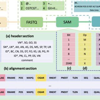 Different File Formats.formats 的图像结果