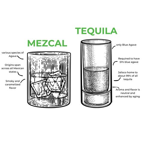 Tequila vs. Mezcal: What’s the Difference? – SOL SQUEEZE