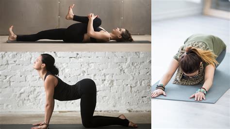 Image result for Bad Back Stretching Exercises