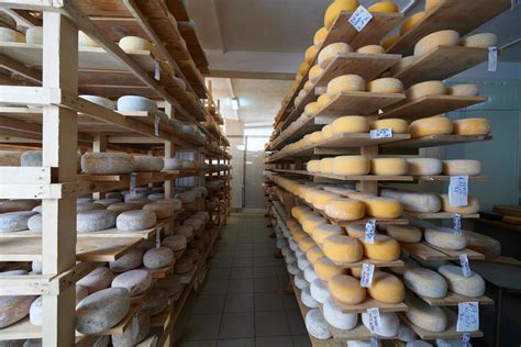 Image result for Ancient Cheese Factory