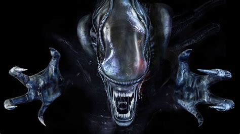 Alien Xenomorph Facing Forward 的图像结果