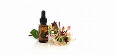 fiori di bach depressione e ansia le propriet 224 dei fiori di bach per curare depressione ansia fiori di bach depressione e ansia le propriet 224 dei fiori di bach per curare depressione ansia