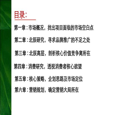 北辰公寓营销战略暨推广规划(终稿).ppt_工程项目管理资料_土木在线