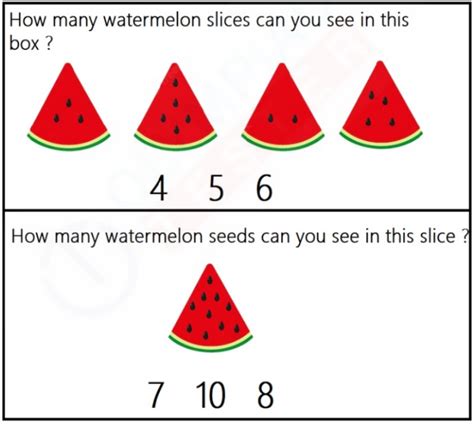 Watermelon Math | Olympiad tester