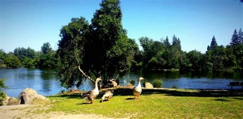 Woodward Regional Park (Fresno) - 2020 What to Know Before You Go (with ...