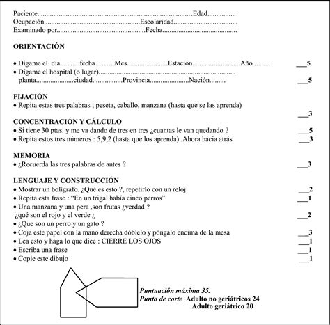 Mini Mental State Examination Printable - Free Worksheets Printable