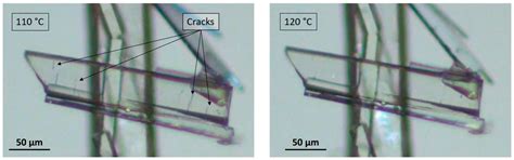 Evidence of a New Crystalline Phase of Prednisolone Obtained from the ...