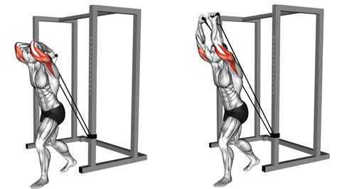 Triceps Workout At Home With Resistance Bands | EOUA Blog