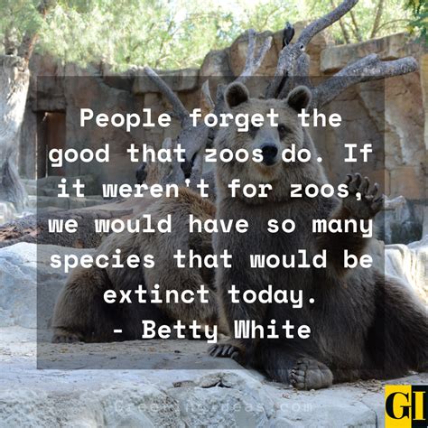 Why Are Zoos Good Quotes at Rosetta Cogan blog